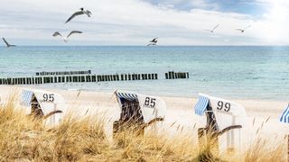 Urlaubsparadies unter Druck: Dass die Ostsee unter Überdüngung leidet, ist seit mehr als einem halben Jahrhundert bekannt. (Symbolbild) (Bild: © Stephanie Eichler - stock.adobe.com)