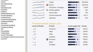 Beispiel für ein strategisches Dashboard: Auf einen Blick sind die Informationen zu erkennen, beispielsweise die wichtigsten Kennzahlen (Key Metrics), Top-8-Kunden, Verkaufszahlen und Marktanteil.  Bild: Abas (Archiv: Vogel Business Media)