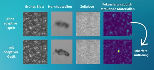Vergleich von Aufnahmen ohne und mit adaptiver Optik an verschiedenen Proben. Nach Angaben des Fraunhofer IPMS verbessert die Korrektur Bildschärfe und Kontrast. Rechts ist die Fokussierung von Laserlicht durch stark streuendes Material dargestellt.(Bild:  Fraunhofer IPMS)