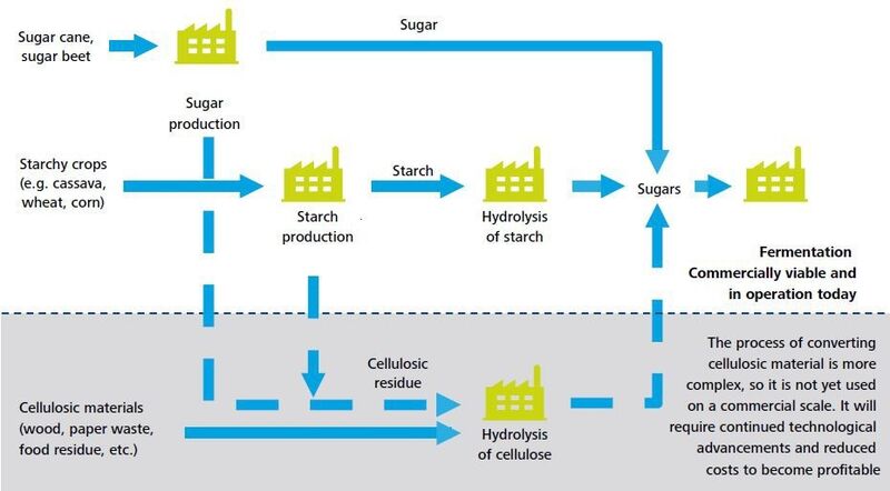 Cellulosic material can and will be a source of carbohydrates for chemicals in the future, but is not a commercially viable process today. Source: Industry expert interviews, Deloitte Analysis (Picture: Suikerunie)