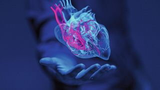 Wissenschaftler haben bisher unbekannte Mechanismen einer Herzkrankheit erforscht. (Bild: vegefox.com - stock.adobe.com)