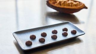 Food Brewer produziert Schokolade aus einzelnen Zellen der natürlichen Kakaobohne. Dazwischen liegt ein Prozess, der dem Bierbrauen ähnelt.  (Bild: Endress+Hauser )