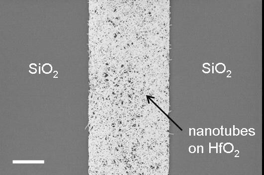 Das Elektronenmikroskopbild zeigt den Graben aus Hafniumoxid auf dem Substrat aus Siliziumoxid, in dem sich die Kohlenstoffnanoröhrchen abgelagert haben. (Foto: IBM Research)