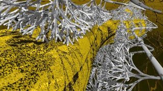 Arbuskuläre Mykorrhiza – Dieses Modell einer kolonisierten Wurzel zeigt den Zentralzylinder in gelber Farbe; die Wurzelrinde ist transparent dargestellt. Die Kolonisierung durch den Pilz beschränkt sich auf die Wurzelrinde.  (Bild: UFZ)