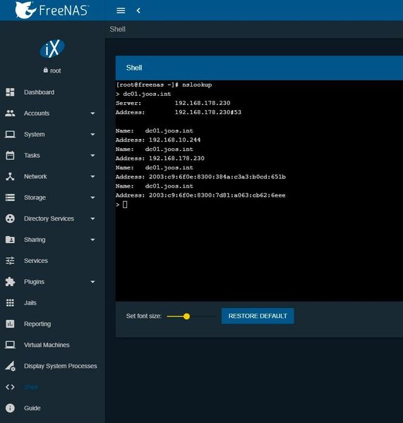 Vor der Anbindung an Active Directory sollte über „Shell“ die Namensauflösung getestet werden. (Storage-Insider)