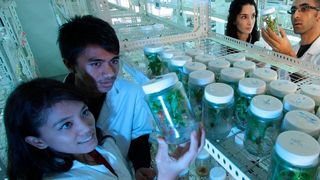 2050 müssen rund 10 Milliarden Menschen ernährt werden, jedoch steht immer weniger fruchtbarer Boden zur Verfügung (gemeinfrei)