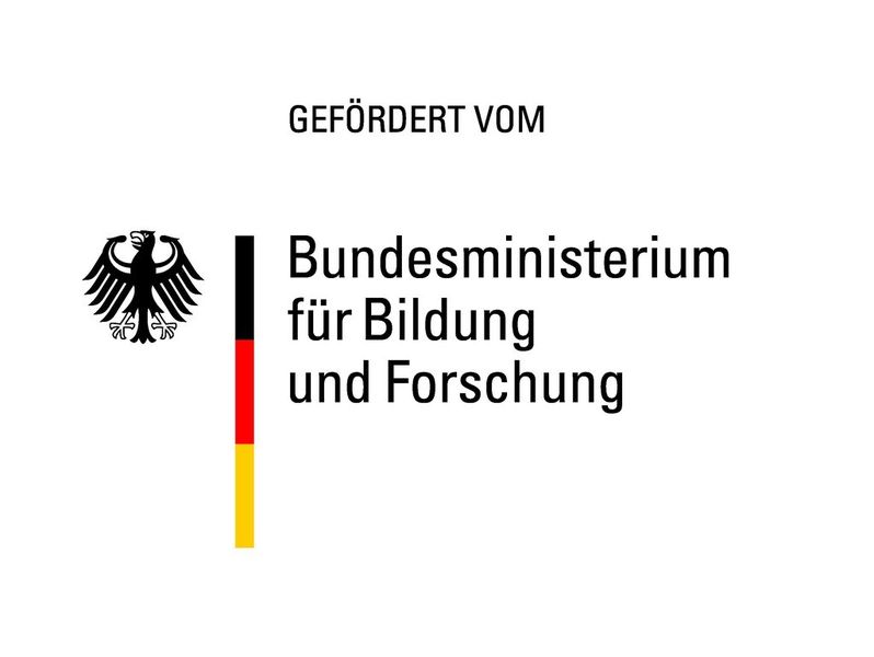 Die Ergebnisse entstanden im Rahmen des vom BMBF geförderten Projektes „High-Speed-f“ (FKZ 13N13113). (Bikld. Bundesministerium für Bildung und Forschung)