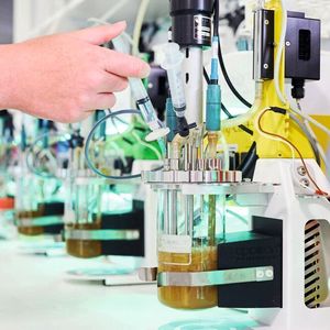 Production of fermentation-based biotin in the lab.