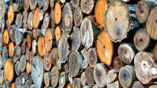 Holz ist ein beliebtes Diebesgut. (Bild: Pixabay)