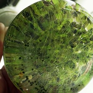 (Jan-Peter Kasper/FSU)