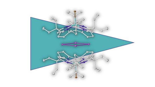 Die Abbildung zeigt einen ersten aromatischen Ring (lila), der rein aus Metallatomen besteht, umgeben von einer molekularen Hülle, die mögliche Zersetzungsreaktionen unterbindet.(Bild:  Lutz Greb)