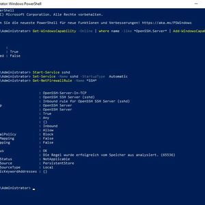 SSH kann in Verbindung mit der PowerShell für mehr Sicherheit in der Verwaltung zwischen Servern sorgen, auch zwischen Windows, macOS und Linux.(Bild:  Joos)
