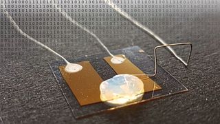 Grenze der Miniaturisierung: der Einzelatom-Transistor funktioniert in einem Gel-Elektrolyten. (Arbeitsgruppe Professor Thomas Schimmel/KIT)