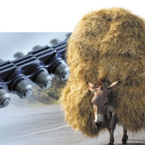 Traglaschenkette können Förderanlagen Steigungen überwinden. (Fotomontage mit Lasteseln)