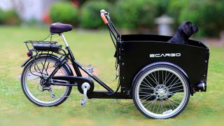 98469007 (Bild: gemeinfrei)