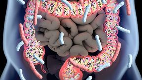 Beim extrem seltenen Eigenbrauer-Syndrom (engl. Auto-Brewery-Syndrom, ABS) vergärt die Darmflora kohlenhydratreiches Essen zu Alkohol. (Symbolbild) (Bild: © Anatomy Insider - stock.adobe.com)