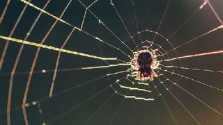 Laut Studie führt praktisch jede Cloud-Strategie zur Adaption eines Multi-Cloud-Ansatzes. (Bild: frei lizenziert Chikilino - Pixabay)