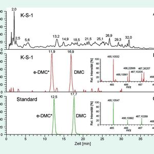 1		MS-Chromatogramm der Weizenprobe K-S-1. Gezeigt ist der Totalionenstrom der Probe im Massenbereich m/z = 400-500 (A). Das Chromatogramm der Massenspur des e-DMC bzw. des DMC (m/z = 465,0989 - 465,1129) in der Probe (B) wird der Standardlösung (C) gegenübergestellt. Eingefügt sind die gemessenen Massenspektren des e-DMC in der Probe bei 11,9 min (B) bzw. im Standard bei 12,5 min (C).