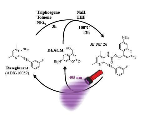 This drug is activated when receiving light –using an optical fiber- of a suitable wave length. (Universitat de Barcelona)
