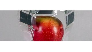 Dieser einfach aufgebaute dreiarmige elektrohydraulische Greifer kann leichte Objekte schnell und sicher greifen.  (Bild: N. Kellaris et al., Adv. Sci. 8, 2100916 (2021))