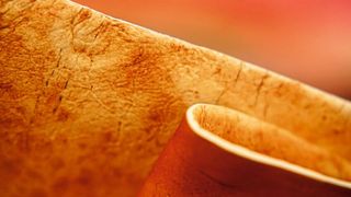 Das Material ist CO2-neutral und am Ende der Nutzungsdauer in der Regel auch vollständig biologisch abbaubar. (Bild: Alexander Bismarck)