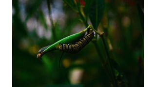 Getrieben von einigen Schlüsseltechnologien zeichnet sich die nächste Evolutionsstufe für Produktions- und Engineering Services ab. (Qulle: Photo by Bradley Ziffer on Unsplash)