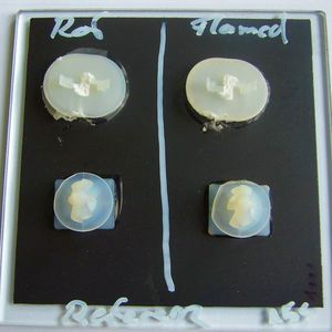 Aufgeklebte Clipse auf Musterglasscheiben mit keramischem Schwarzdruck nach zerstörender Festigkeitsprüfung, rechts Referenzprobe und links Probe nach Lagerung bei 40 °C / 98 % r. F. für 168 h