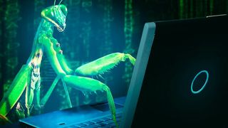 Software Bugs gehen oft mit Programmierfehlern einher. (Bild: JohnArtsz)