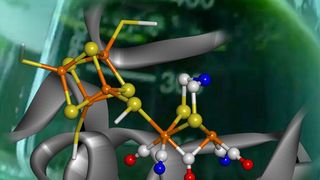 Aktives Zentrum (Bild: MPI CEC)