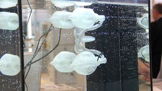 Vier elastische Kunststoffbälle pumpen Wasser und sorgen so für den erforderlichen Vortrieb. Das Antriebssystem wurde mit dem generativen Fertigungsverfahren FDM hergestellt. (Fraunhofer IPA)