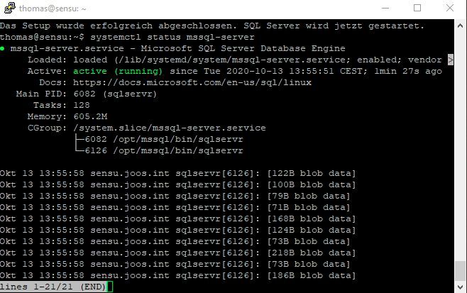 Überprüfen des Daemons für den Betrieb von SQL auf dem Linux-Server. (Bild: Joos / Canonical)