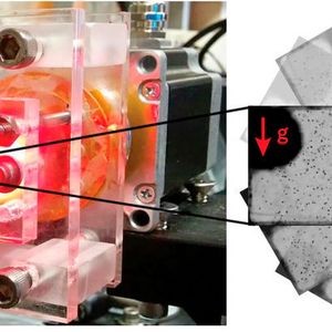 Um das Schwimmverhalten der Alge zu untersuchen, verwendeten die ETH-Forscher eine kleine Kammer von wenigen Kubikmillimetern Volumen. Die Kammer konnte mit einem computergesteuerten Motor kontinuierlich um ihre horizontale Achse rotiert und so wiederholt um 180 Grad gekippt werden. 