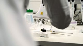 Pipettieren will gelernt sein – selbst erfahrene Laboranten machen hier manchmal Fehler (Symbolbild). (Integra Biosciences)