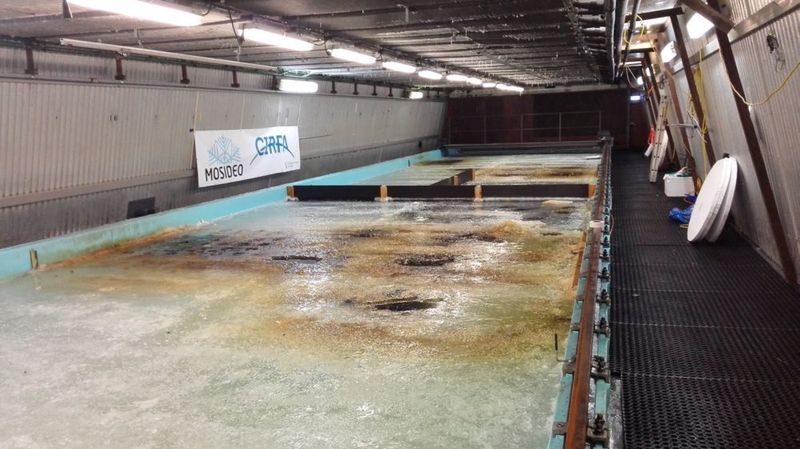 Oil spill tests at the Arctic Environmental Test Basin at the Hamburg Ship Model Basin in Germany. (Giuliani von Giese)