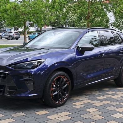 Der Cupra Terramar VZ bietet deutlich mehr Platz als der Formentor, kostet aber auch mindestens 55.000 Euro. (Bild: Rosenow - VCG)