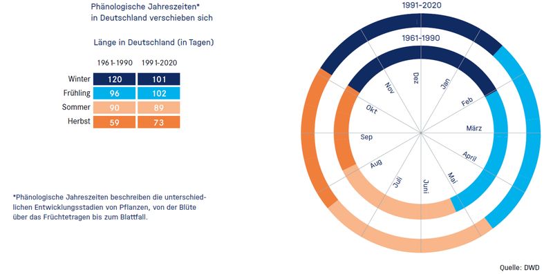 Fakt 17: Mit dem Klima ändert sich Flora und Fauna Pflanzen und Tiere aus wärmeren Gebieten finden zunehmend auch in Deutschland einen passenden Lebensraum vor, etwa das Affen-Knabenkraut oder die asiatische Tigermücke. Zugvögel verändern ihre Wanderungszeiten und Pflanzen ihren Blühzeitpunkt – mitunter weg von der Aktivitätszeit ihrer Bestäuber.  Daten des Deutschen Wetterdienstes zeigen, dass der so genannte phänologische Frühling heute im Mittel schon rund zwei Wochen früher beginnt als vor einigen Jahrzehnten. Der phänologische Herbst setzt ebenfalls früher ein und dauert zudem im Schnitt 14 Tage länger als in den 1960er- bis 1980er- Jahren, wohingegen sich der Winter von durchschnittlich 120 Tagen pro Jahr auf nur noch 101 Tage verkürzt.    Lesetipp: Knapp verpasst – Blumen und Bienen geraten aus dem Takt Weitere Infos:   Was wir heute übers Klima wissen – Basisfakten zum Klimawandel, die in der Wissenschaft unumstritten sind, Stand: September 2022, herausgegeben von: Deutsches Klima-Konsortium, Deutsche Meteorologische Gesellschaft, Deutscher Wetterdienst, Extremwetterkongress Hamburg, Helmholtz-Klima-Initiative, klimafakten.de  (DWD)