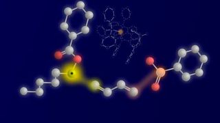 Die drei Reaktionspartner und ihre Verknüpfung: links das ketylartige Radikal, in der Mitte das 1,3-Dien und rechts das nukleophile Sulfinat. Die reaktiven Atome und die sich bildende Bindung sind gelb (Ketylkohlenstoff und erste C-C-Bindung) und orange (Schwefelnukleophil-Atom und zweite C-S-Bindung) hervorgehoben. Im Hintergrund ist der katalytisch aktive Palladiumkomplex mit dem orangefarbenen Palladiumzentrum zu sehen. (Bild: WWU/ Peter Bellott)