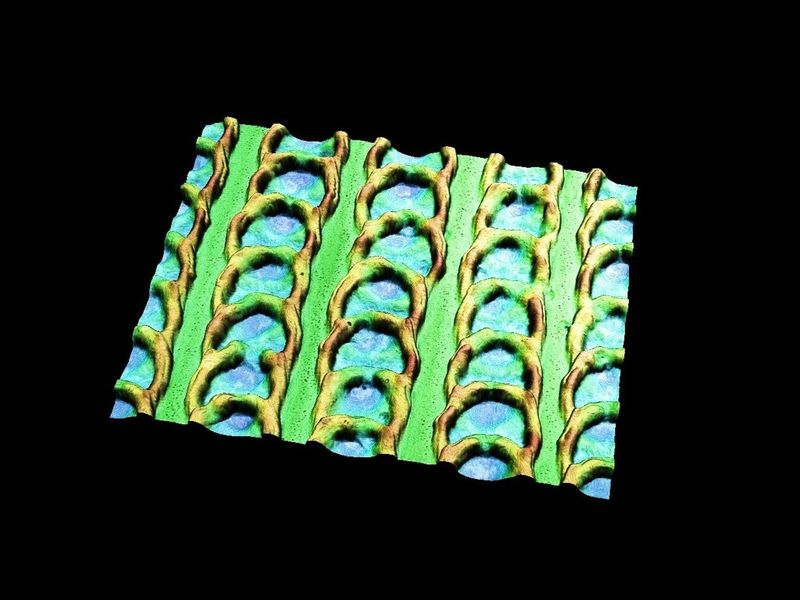 Bild 1: Von der Natur inspiriert und per Laser auf einen Stahlbolzen gefräst: 3-D-Aufnahme der schuppenähnlichen Struktur. (Bild: Christian Greiner, KIT)