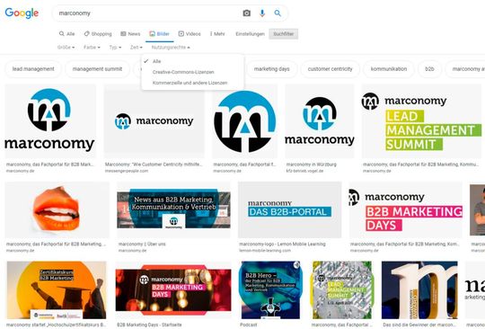 Sobald die Metadaten des Bildes oder die HTML-Tags auf der entsprechenden Seite die nötigen Informationen zeigen, werden sie von Google ausgelesen.(Bild:  Screenshot Google Bildersuche)