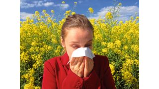 Nicht nur bei Allergikern, sondern auch bei einer Untergruppe von Nichtallergikern treten im Frühjahr Symptome in der Nase auf, die auf den Kontakt mit Pollen zurückzuführen sind. (Bild: gemeinfrei)