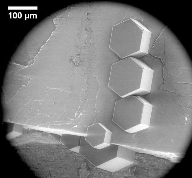 Eiskristalle auf einem Feldspatkristallit unter dem Elektronenmikroskop. Obwohl sie auf verschiedenen Ebenen des Feldspats wachsen, sind sie zueinander ausgerichtet. (Alexei Kiselev und Dagmar Gerthsen/KIT)