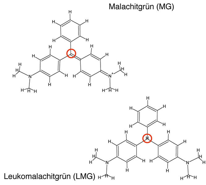 Abb.1b: Die Strukturformeln von Malachitgrün und Leukomalachtigrün (Gerstel)