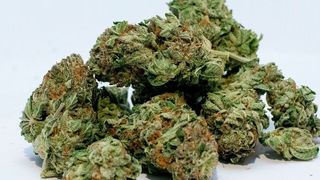 In Europa gibt es erstmals einen Fonds, der sich auf medizinisches Cannabis fokussiert. (gemeinfrei)