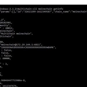 Verwalten der eigenen Blockchain.(Bild:  Joos)