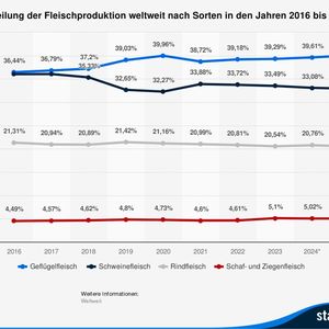 Verteilung der Fleischproduktion weltweit nach Sorten in den Jahren 2016 bis 2025(Bild:  Statista)