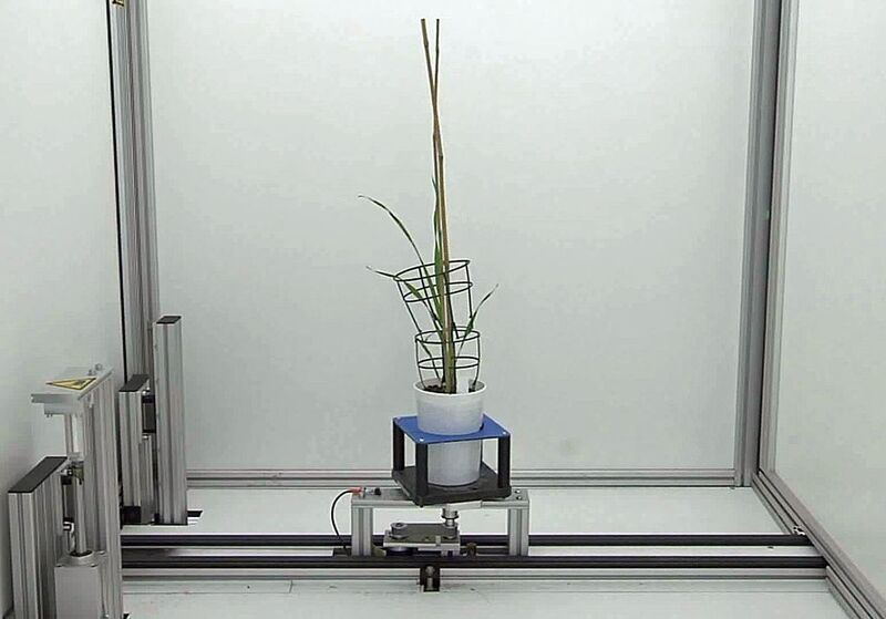 Mittels spezieller 3D-Kamerasysteme wird jede einzelne Pflanze in bestimmten Intervallen  untersucht. (Archiv: Vogel Business Media)