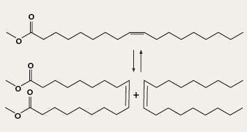 Abbildung 3: Homomethathese von Methyloleat (Grafik, Quelle: Evonik Industries) (Archiv: Vogel Business Media)