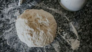 Using metabarcoding to profile sourdough starters, researchers show that flour type strongly shapes bacterial diversity while a single dominant yeast persists. (Source: free licensed)