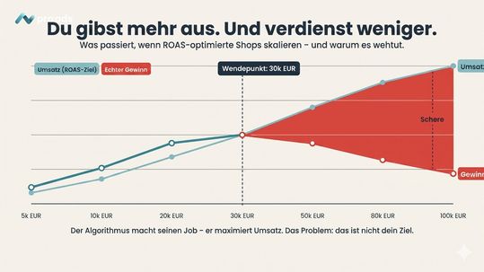 Mehr Ausgaben, weniger Verdienst: Das passiert, wenn ROAs-optimierte Shops skalieren – und darum tut es weh.(Bild:  Pro Ads Marketing)