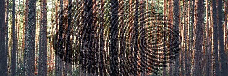 Können Identitäten und Zugriffsrechte in einer Produktionsumgebung unkontrolliert wachsen, haben es potenzielle Angreifer deutlich einfacher, Schaden anzurichten.(Bild:  gemeinfrei /  Pixabay)